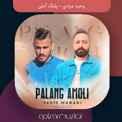 دانلود آهنگ وحید مرادی پلنگ آملی