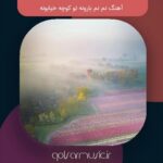 دانلود آهنگ نم نم بارونه تو کوچه خیابونه دانلود آهنگ نم نم بارونه تو کوچه خیابونه