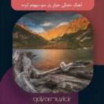 دانلود آهنگ دلتنگی خیال یار منو دیوونم کرده