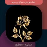دانلود آهنگ قهر نکن وا مو گل بی خاروم