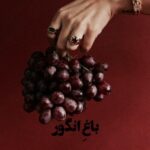 دانلود آهنگ انگور های شمالی مزه دارد تمام اجرا ها