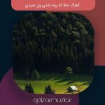 دانلود آهنگ حالا که پیله شدی ول نمیدی تمام اجرا ها