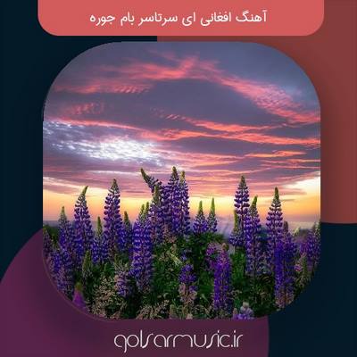 دانلود آهنگ افغانی ای سرتاسر بام جوره دانلود آهنگ افغانی ای سرتاسر بام جوره