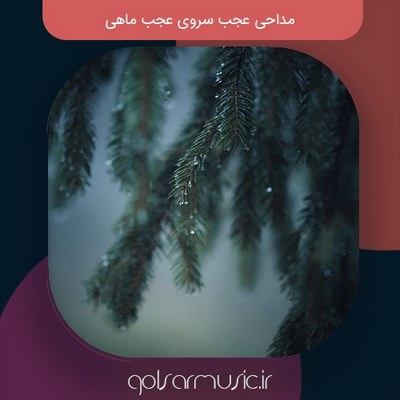 دانلود مداحی عجب سروی عجب ماهی