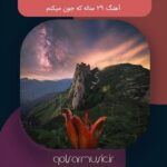 دانلود آهنگ 29 ساله که جون میکنم تمام اجرا ها دانلود آهنگ 29 ساله که جون میکنم تمام اجرا ها