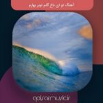 دانلود آهنگ تو ای باغ گلم نوبر بهارم تمام اجرا ها