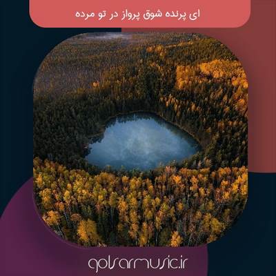 دانلود آهنگ ای پرنده شوق پرواز در تو مرده دانلود آهنگ ای پرنده شوق پرواز در تو مرده