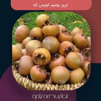 دانلود آهنگ ایروز بوشوم کونوس کله دانلود آهنگ ایروز بوشوم کونوس کله