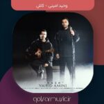 دانلود آهنگ وحید امینی کاش
