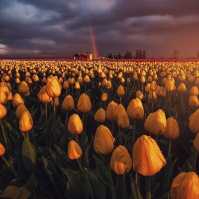 دانلود آهنگ آخه می جان یاره دگود بو قبای گالشی دانلود آهنگ آخه می جان یاره دگود بو قبای گالشی