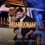 دانلود آهنگ امیر لیام ممنونم