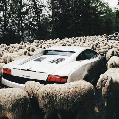 دانلود آهنگ الجد الجد 3 MP3 اصلی + پخش آنلاین دانلود آهنگ الجد الجد 3 MP3 اصلی + پخش آنلاین