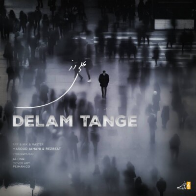 دانلود آهنگ علی رز دلم تنگه دانلود آهنگ علی رز دلم تنگه