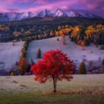 دانلود آهنگ ناز ناز نازتو بنازم تمام اجراهای پخش شده Mp3 دانلود آهنگ ناز ناز نازتو بنازم تمام اجراهای پخش شده Mp3