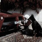 دانلود آهنگ گل منه ادیم ادیم ادینی قلبه یازدیم