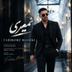 دانلود آهنگ فریبرز ملکی نمیری