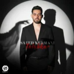 دانلود آهنگ سعید کرمانی طلبکار